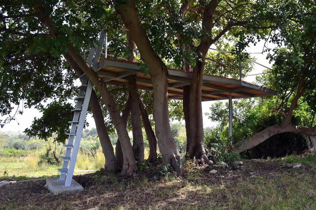 Villa Vendicari Casa Maccari Extérieur photo