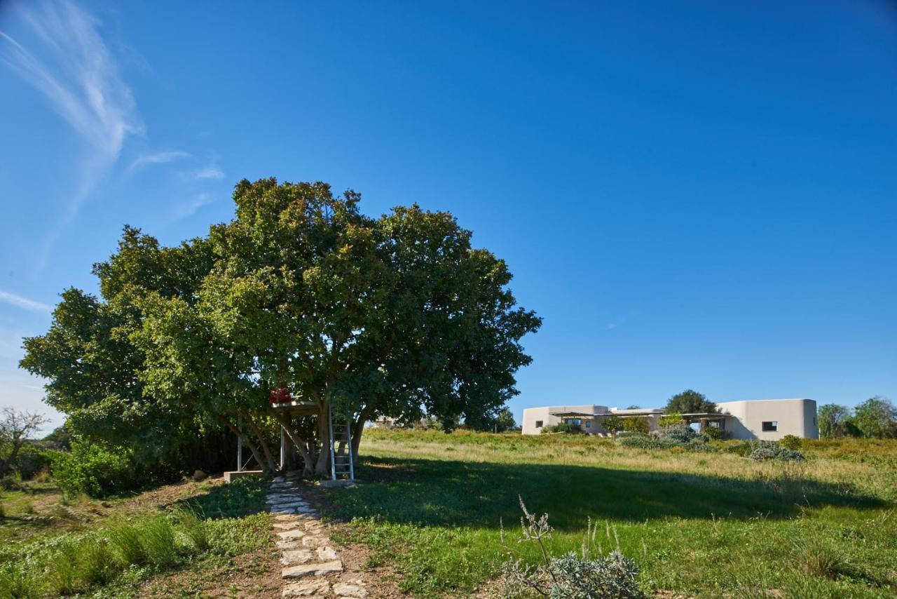 Villa Vendicari Casa Maccari Extérieur photo